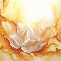White rose geschilderd door Elra Heus